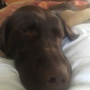 Meet your Posher, Shanny